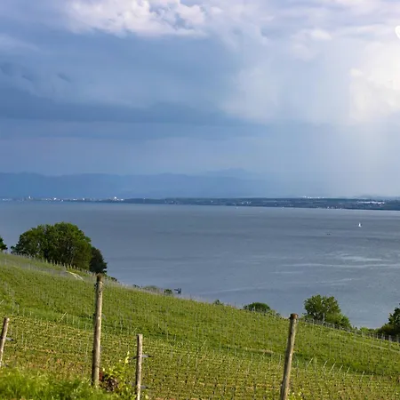 Διαμέρισμα Seeglueck Sonnenschein Uni Nahes Und Nahes Mit Grossem Suedbalkon Und Tiefgaragenstellplatz Κωνσταντία
