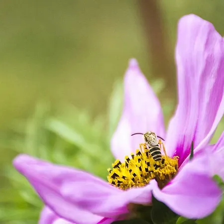 Seeglueck Sonnenschein Uni Nahes Und Nahes Mit Grossem Suedbalkon Und Tiefgaragenstellplatz Appartement *